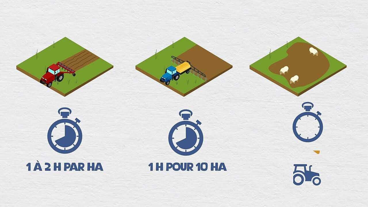 Pour travailler moins, faites pâturer vos couverts végétaux par les brebis